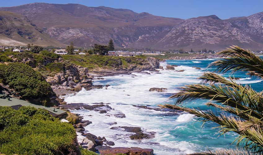 cte donnant sur la baie d'Hermanus en Afrique du Sud