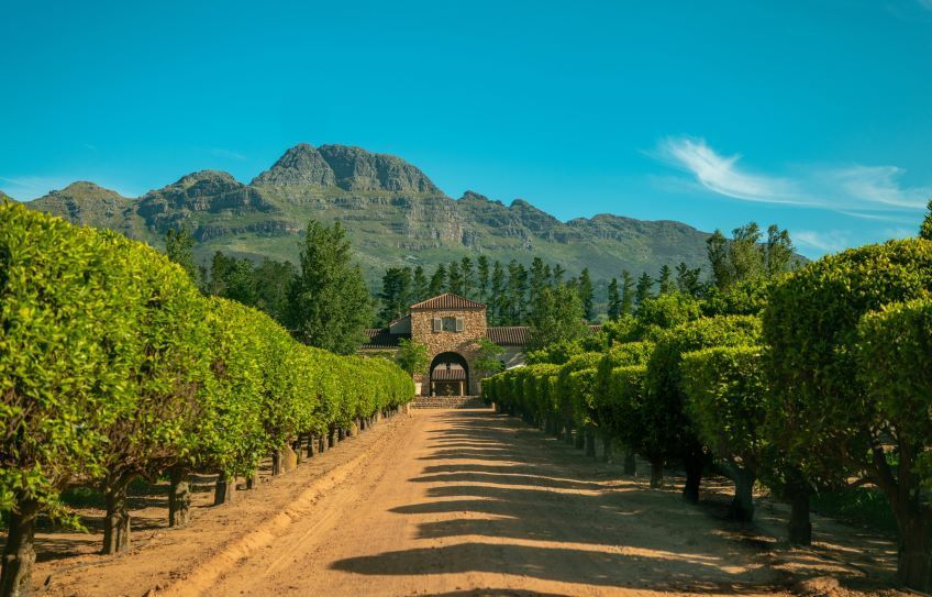 domaine viticole sur la route des vins en Afrique du Sud