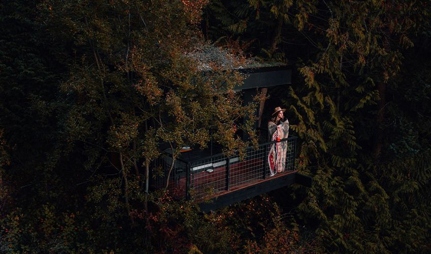 vue sur une cabane dans les arbres aux Etats-Unis