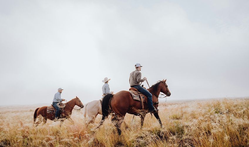 balade  cheval dans un ranch au Texas