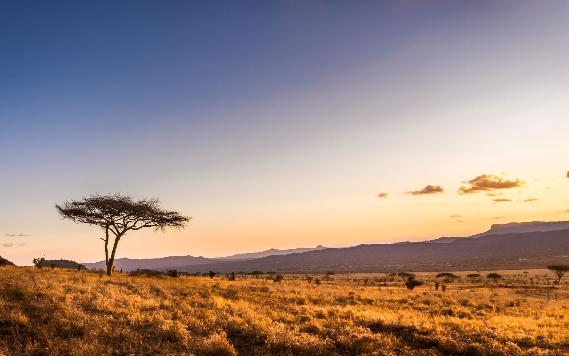 vue dgage du parc Tsavo au Kenya