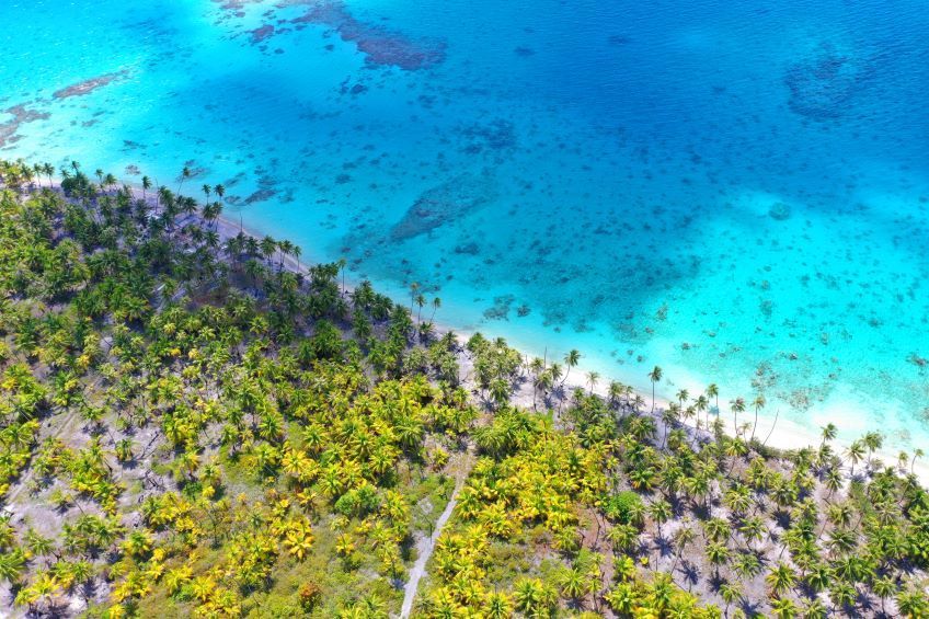 vue plage sur l'atoll de Fakarava en Polynsie