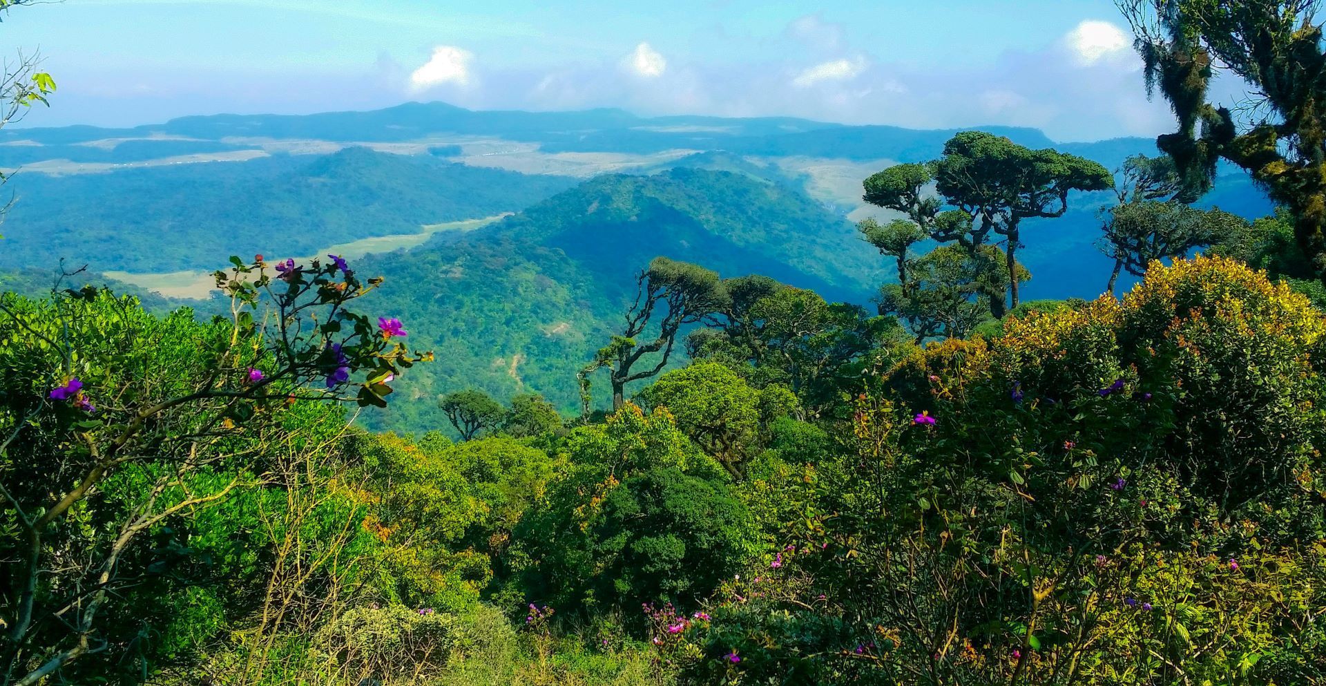 vue depuis les hauteurs de Horton Plains au Sri Lanka