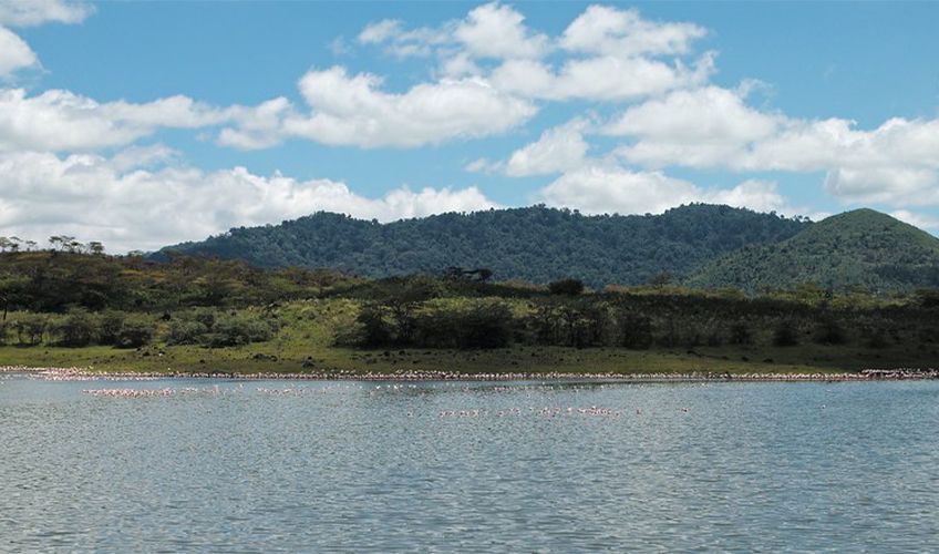 lac Momella dans le parc d'Arusha en Tanzanie
