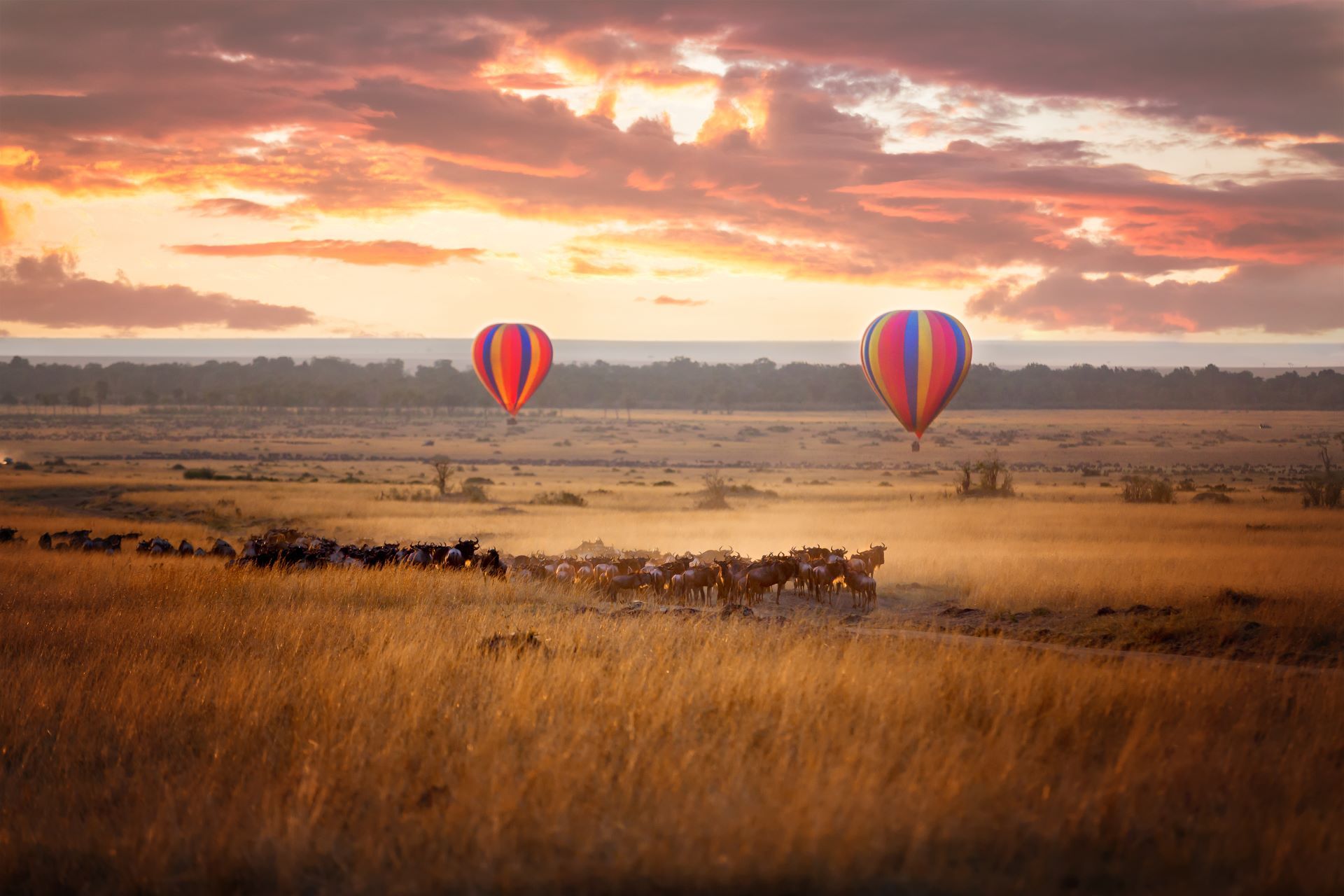 montgolfieres dans la savane en Tanzanie