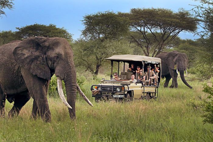 Safari de luxe en Tanzanie