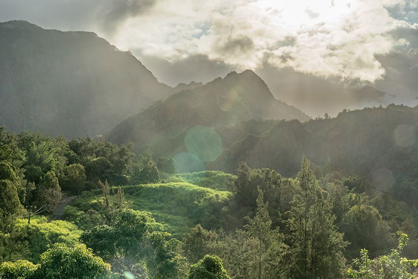 Quel est le meilleur moment pour partir en vacances à La Réunion