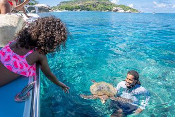 nage avec les tortues ile cocos seychelles